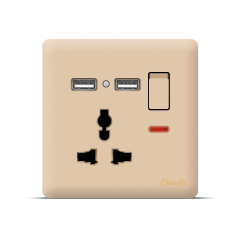 V27 golden