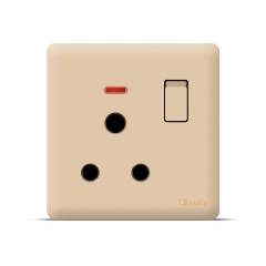 V27 golden