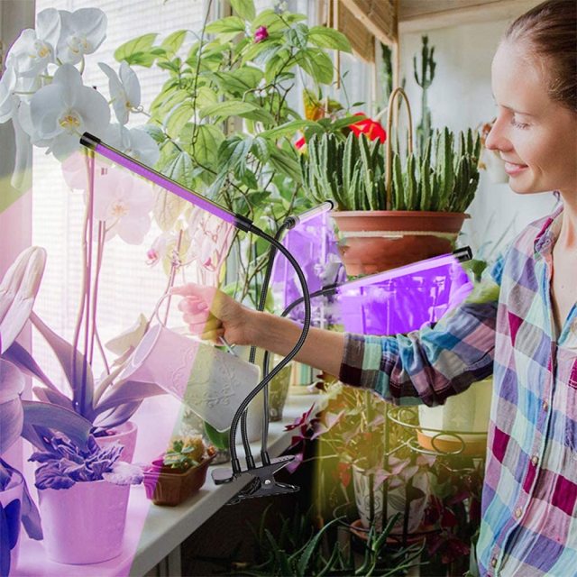 Luz de Cultivo Interior DOSYU, Función de Sincronización 3/9/12H, Luz LED Roja y Azul de Espectro Completo de Cuatro Cabezales 80, Cuello de Cisne Ajustable, Adecuado Para El Crecimiento de Plantas,DOSYU,