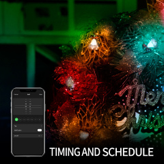 DOSYU 2M 20LED 圣诞灯挂件装饰，24键遥控器,适用于节日，生日派对，圣诞节（铃铛&圣诞树）,DOSYU,