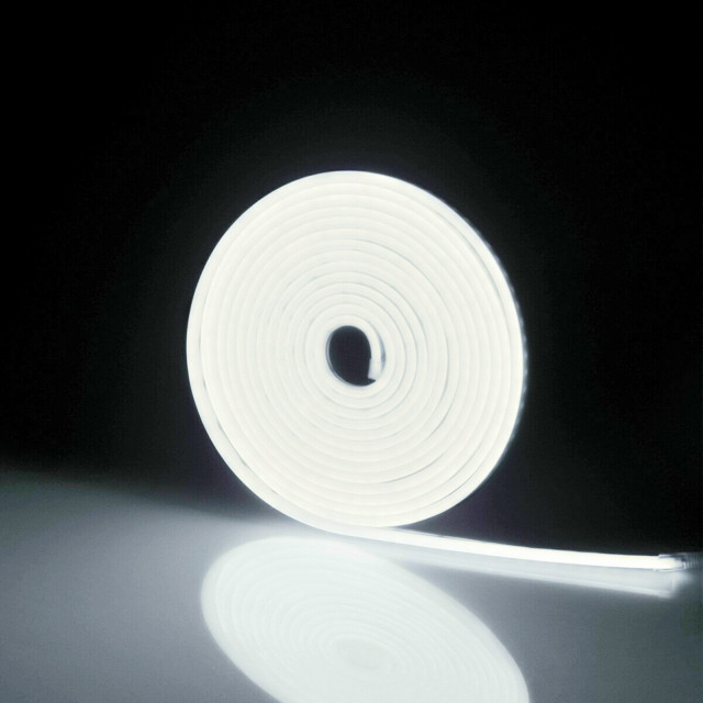 5m 10 different colors monochrome neon strips,Shenzhen Dosyu Technology Co.LTD,