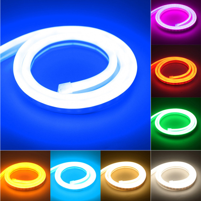 5m 10 different colors monochrome neon strips,Shenzhen Dosyu Technology Co.LTD,