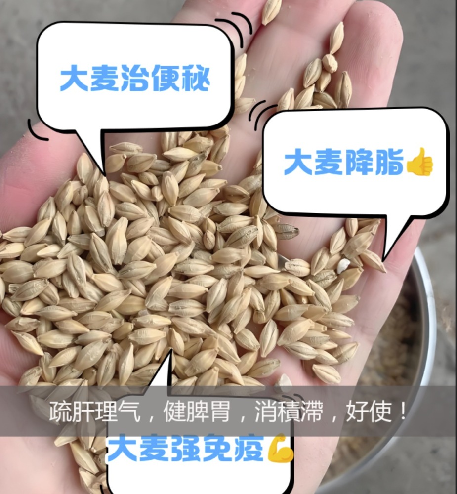 減肥纖體茶（脾虛濕阻型）