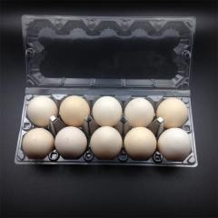 egg packing