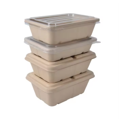bagasse food container