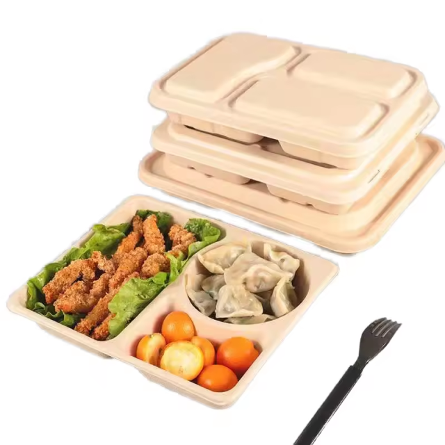 bagasse food container