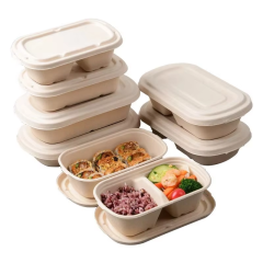 bagasse food container