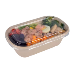 bagasse food container