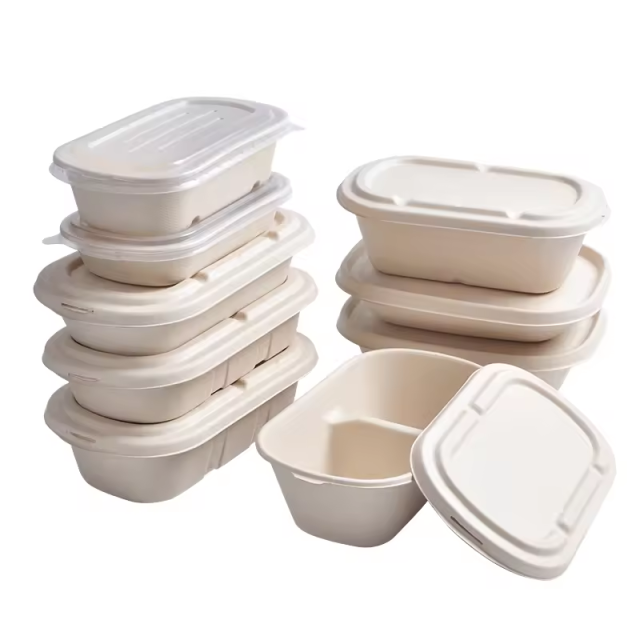 bagasse food container
