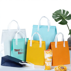 Non-woven Insulation Bag