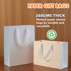 Custom Luxury gift paper bags