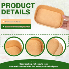 Disposable Rectangle Kraft Salad Boxes with Lid