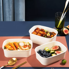 Disposable Rectangle Kraft Salad Boxes with Lid