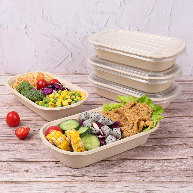 Custom Compostable Sugarcane Pulp Take Out Food Containers with PP Lid