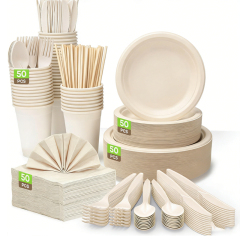 Disposable Compostable Sugarcane Paper Plates Forks Knives Spoons Cups Set