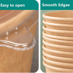 Disposable Soup Kraft Paper Bowls with Lids
