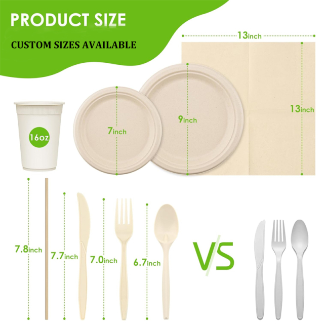 Disposable Compostable Sugarcane Paper Plates Forks Knives Spoons Cups Set
