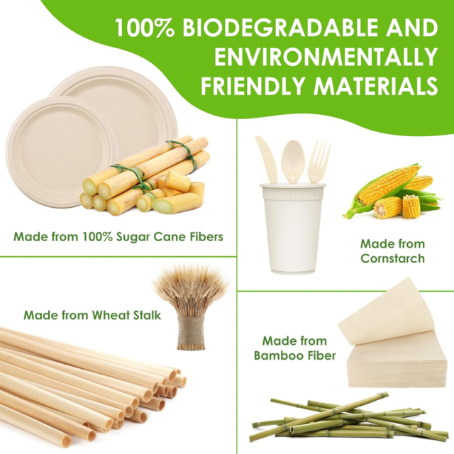 Disposable Compostable Sugarcane Paper Plates Forks Knives Spoons Cups Set