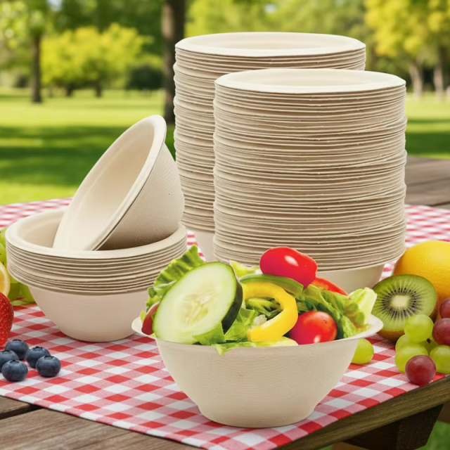 Disposable Compostable Sugarcane Paper Plates Forks Knives Spoons Cups Set