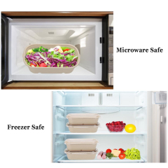 Custom Compostable Sugarcane Pulp Take Out Food Containers with PP Lid