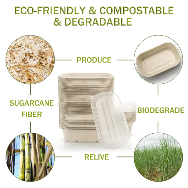 Custom Compostable Sugarcane Pulp Take Out Food Containers with PP Lid