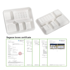 Eco-Friendly Biodegradable Sugarcane Bagasse Lunch PlateTrays with Compartment