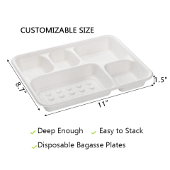 Eco-Friendly Biodegradable Sugarcane Bagasse Lunch PlateTrays with Compartment