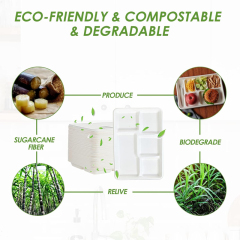 Eco-Friendly Biodegradable Sugarcane Bagasse Lunch PlateTrays with Compartment