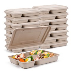 Eco-Friendly Biodegradable Sugarcane Bagasse Lunch PlateTrays with Compartment