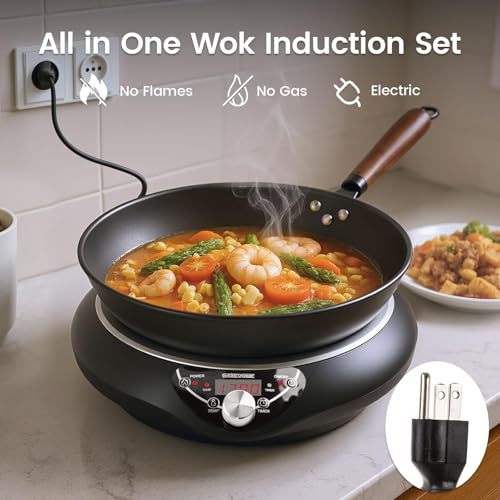 GastroGear 1700W Induction Cooktop Wok Burner with 13.4" Carbon Steel Wok Pan, Glass Vented Lid, Rack,1.97″ Deep Concave Curved Surface Electric Stove 176°F to 446°F, 18 Hrs Timer, Auto-off (Black 100V～185V) Authentic Infuse Complex Charred Aroma & Flavor
