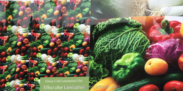 Factory Price Glossy Crystal PVC Holographic Photo Cold Lamination Fil