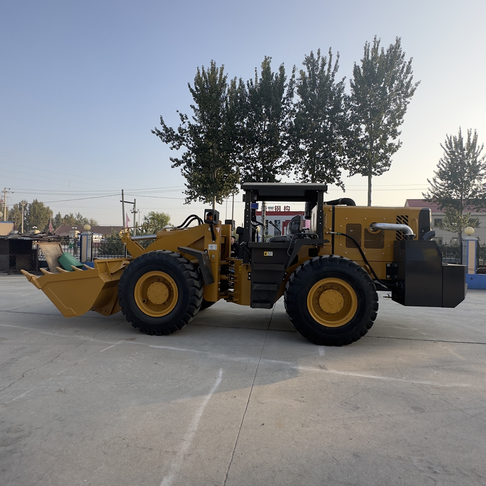 Underground loader maintenance access