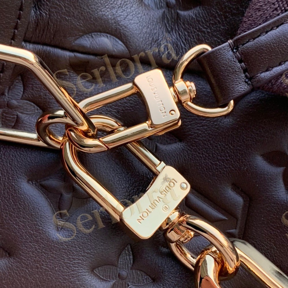 LV Coussin Hobo MM