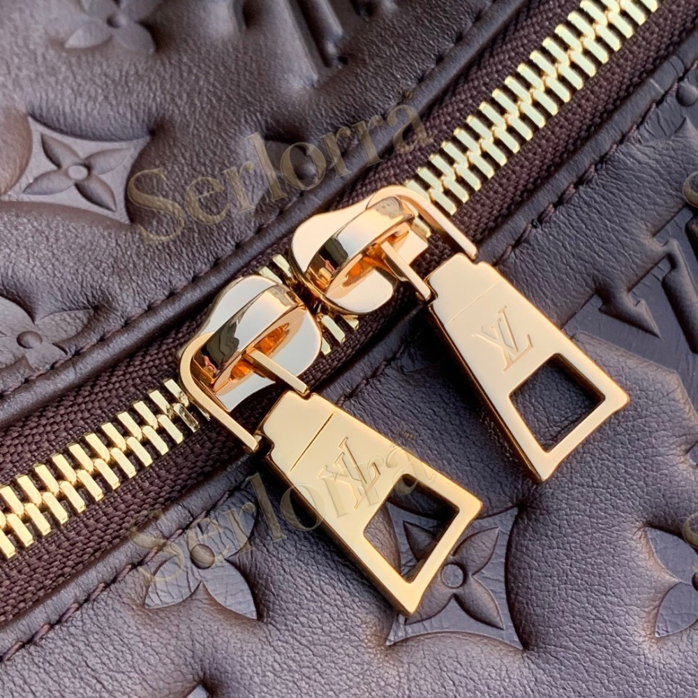LV Coussin Hobo MM