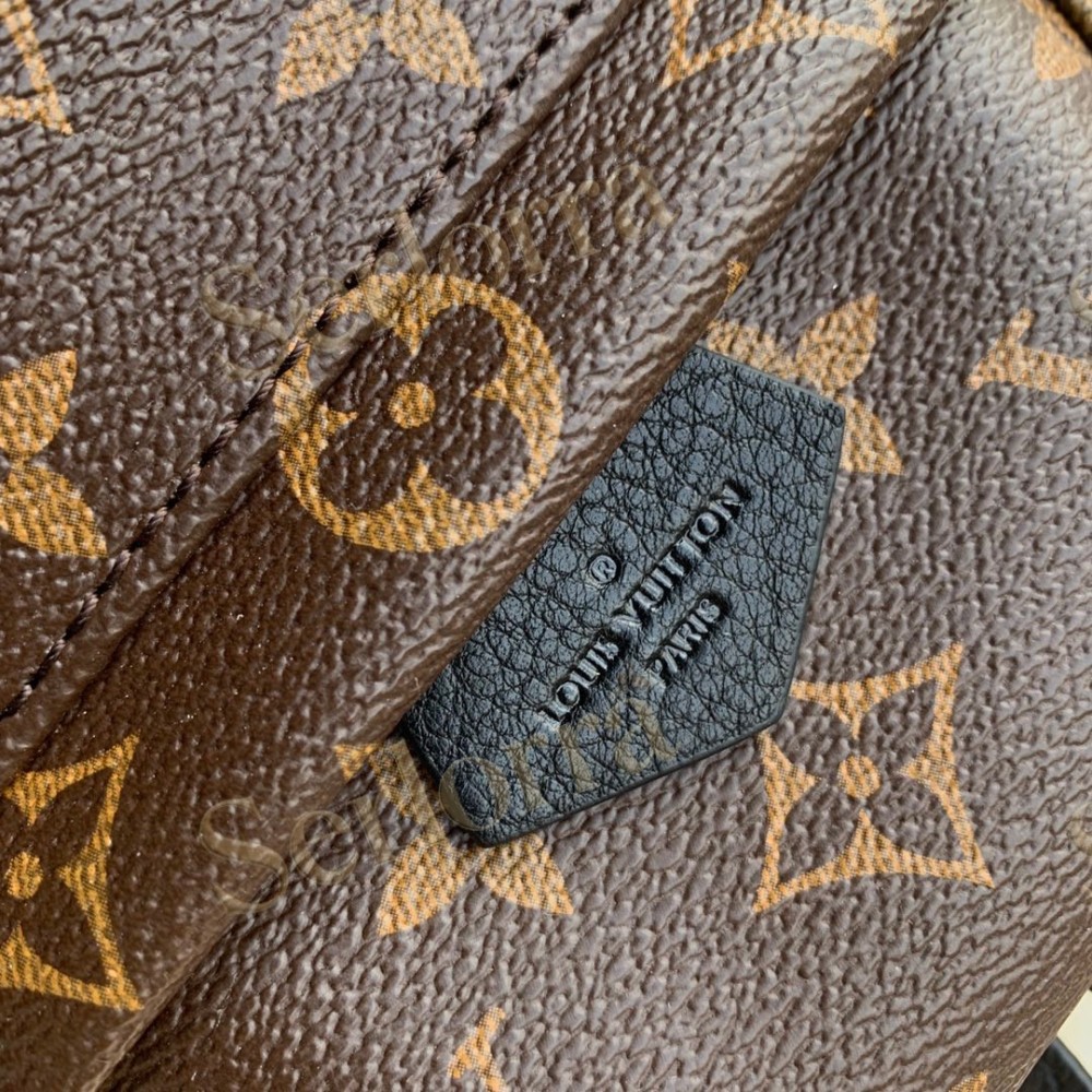 LV Palm Springs Mini