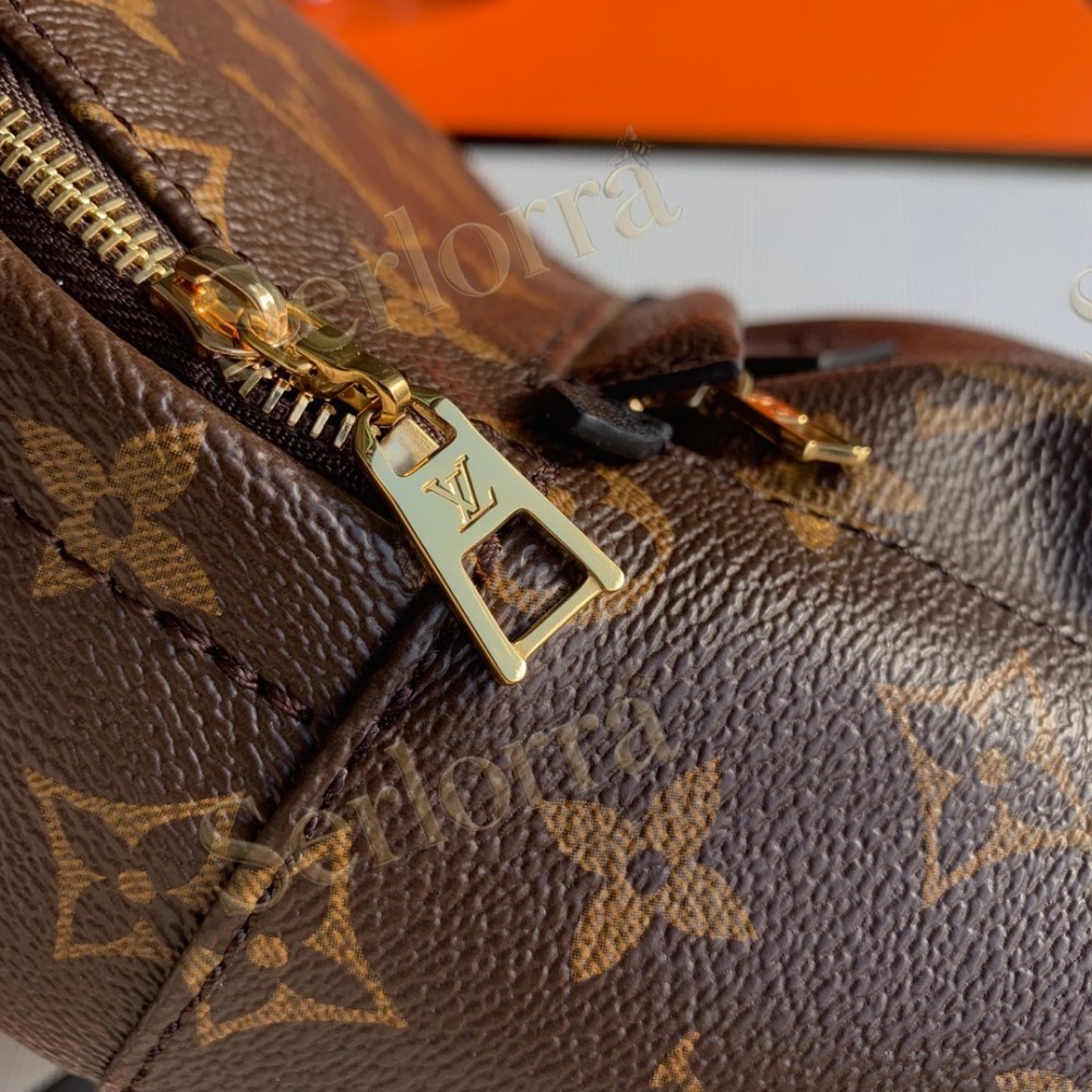 LV Palm Springs Mini