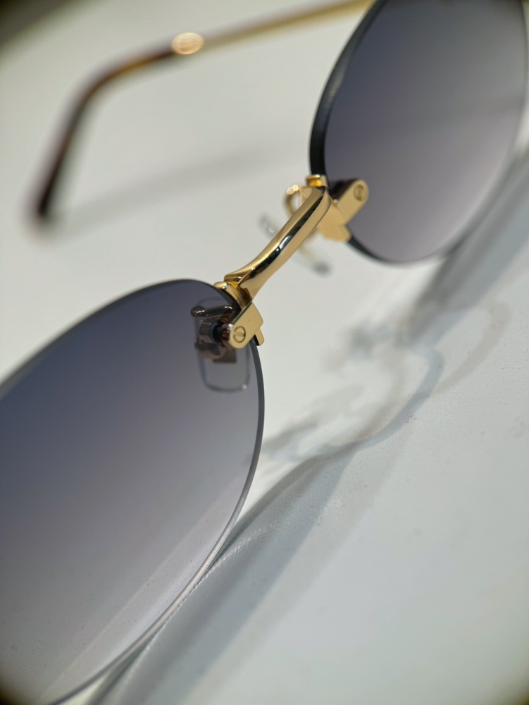 Miu Miu Logo sunglasses