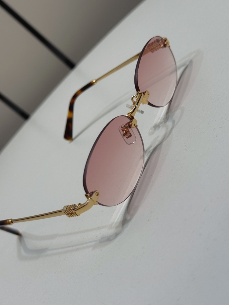 Miu Miu Logo sunglasses