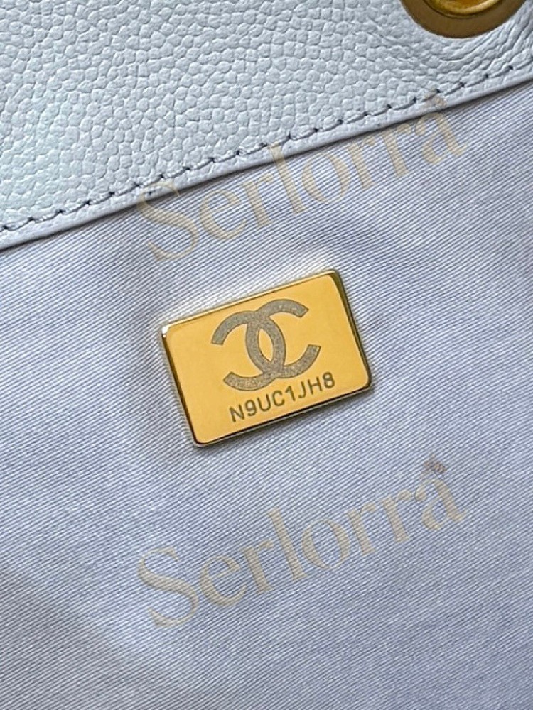 CHANEL MASTER 25 MEDIUM HANDBAG