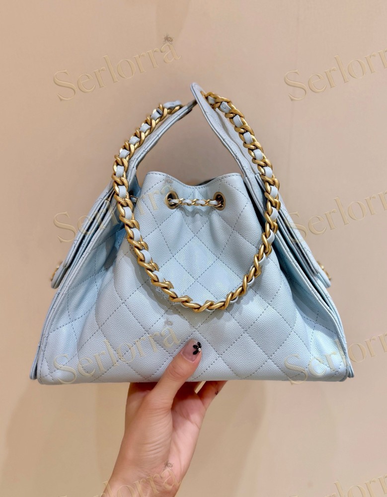 CHANEL MASTER 25 SMALL HANDBAG