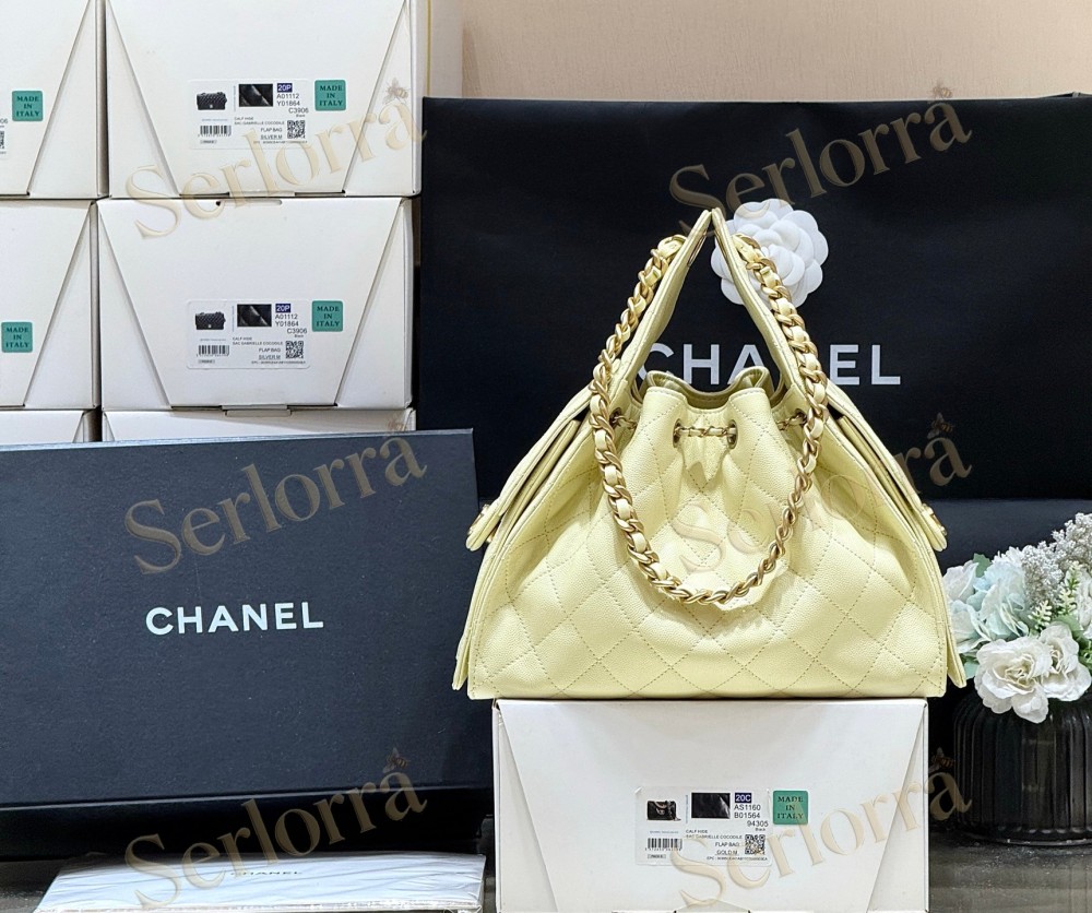 CHANEL MASTER 25 SMALL HANDBAG