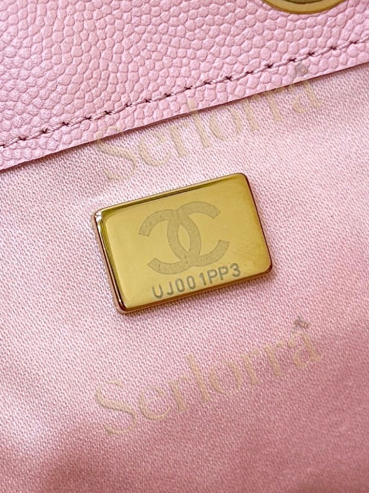 CHANEL MASTER 25 SMALL HANDBAG