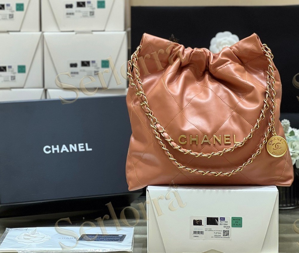 CHANEL MASTER 22 SMALL HANDBAG