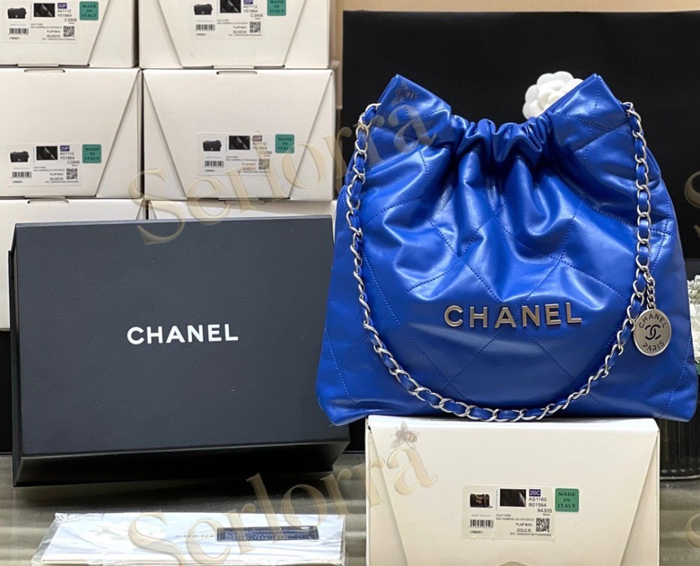 CHANEL MASTER 22 SMALL HANDBAG