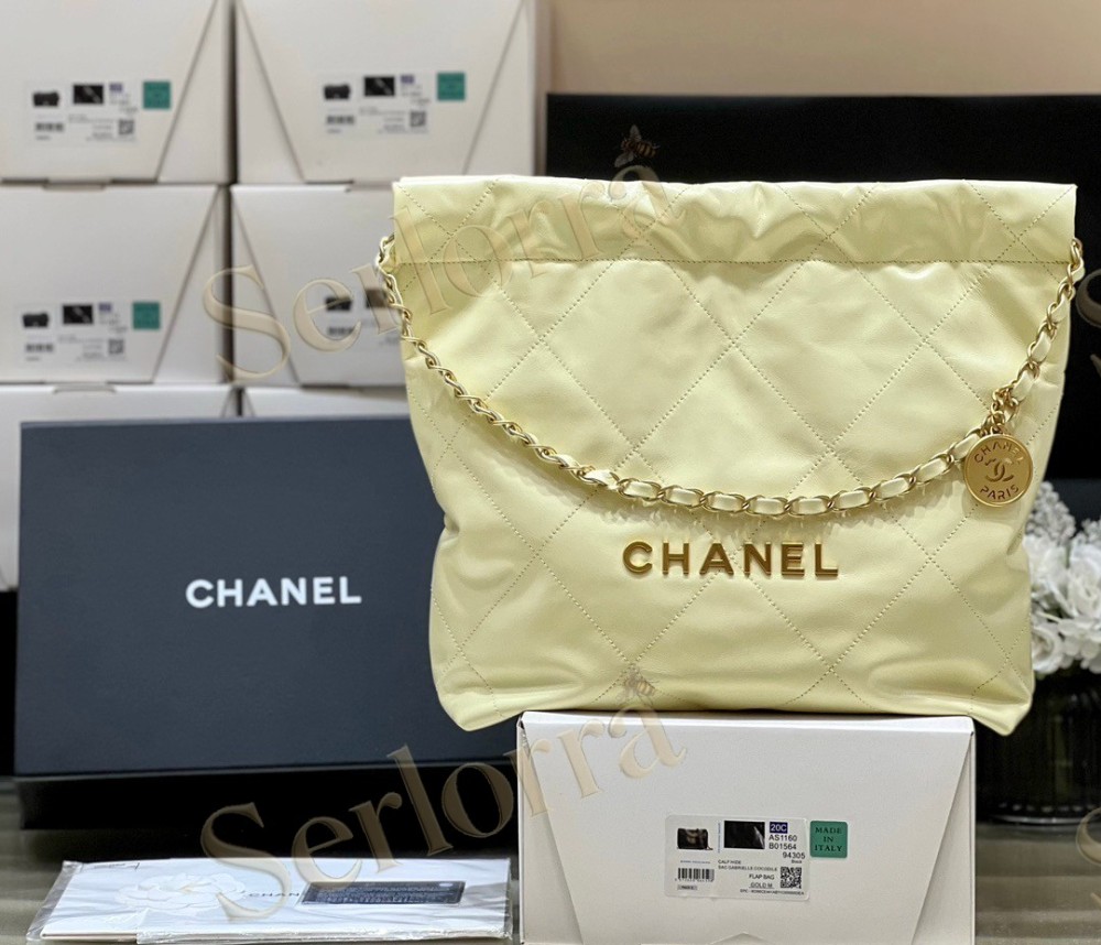 CHANEL MASTER 22 SMALL HANDBAG
