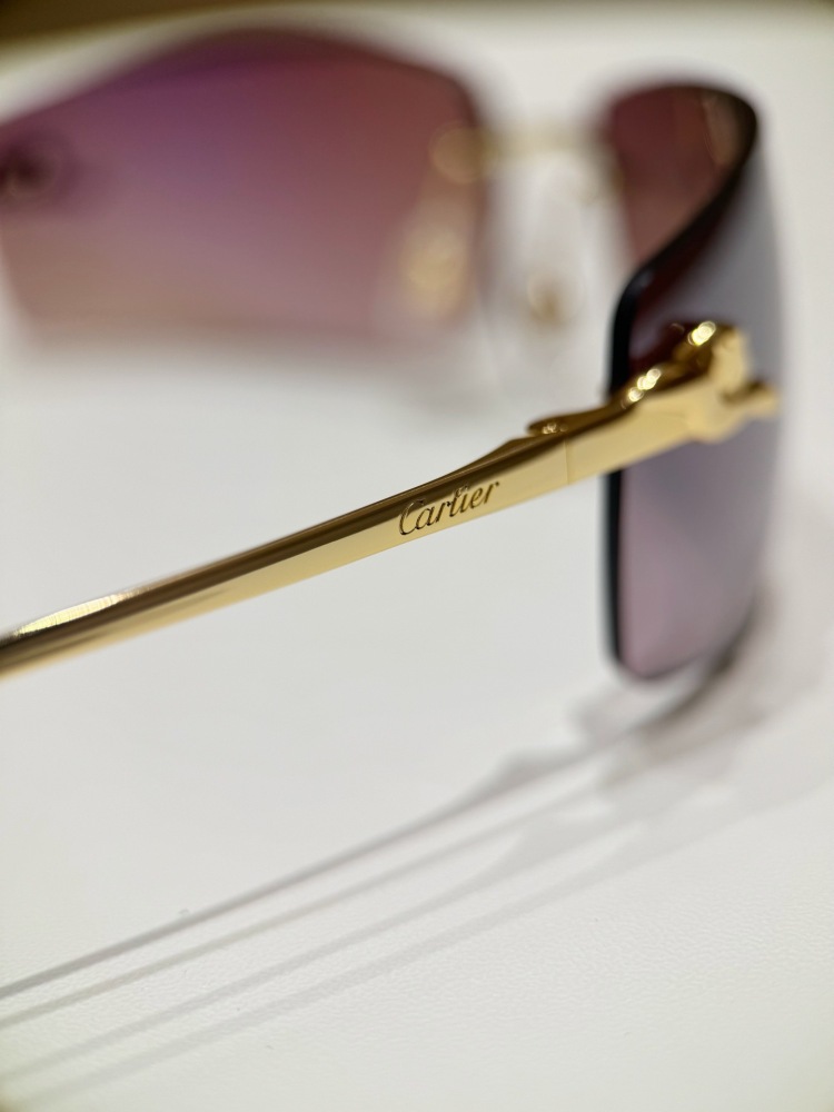 Cartice Sunglasses