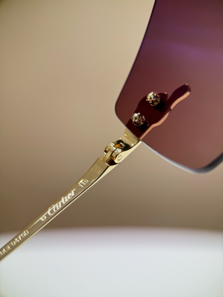 Cartice Sunglasses