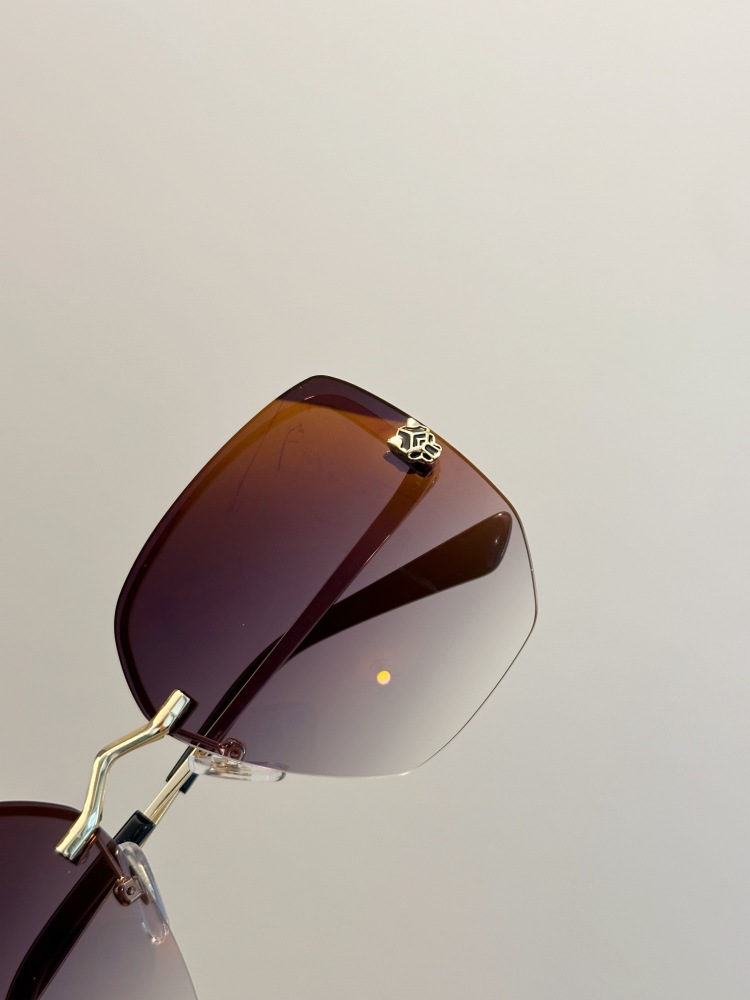 Cartier Glasses