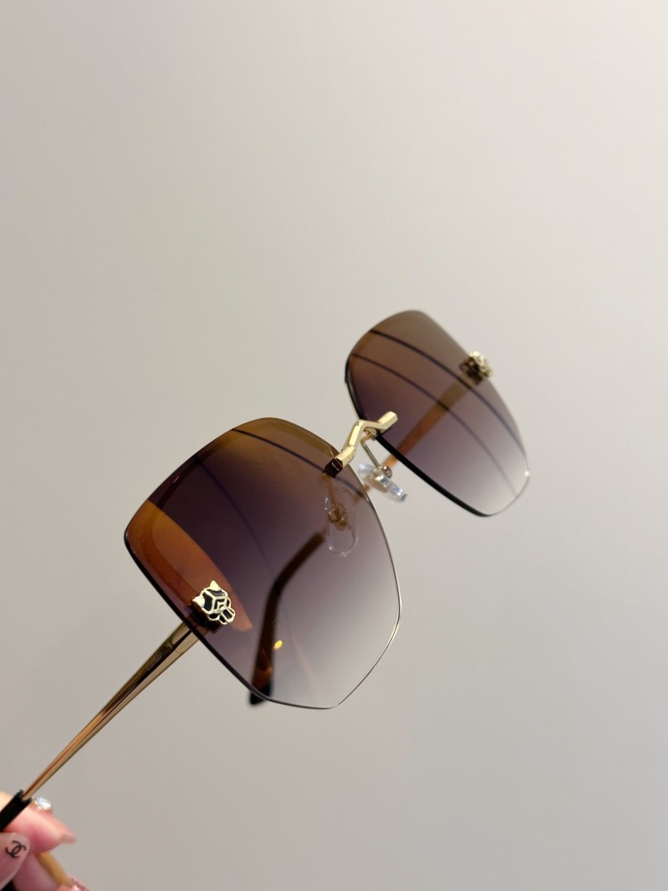 Cartier Glasses