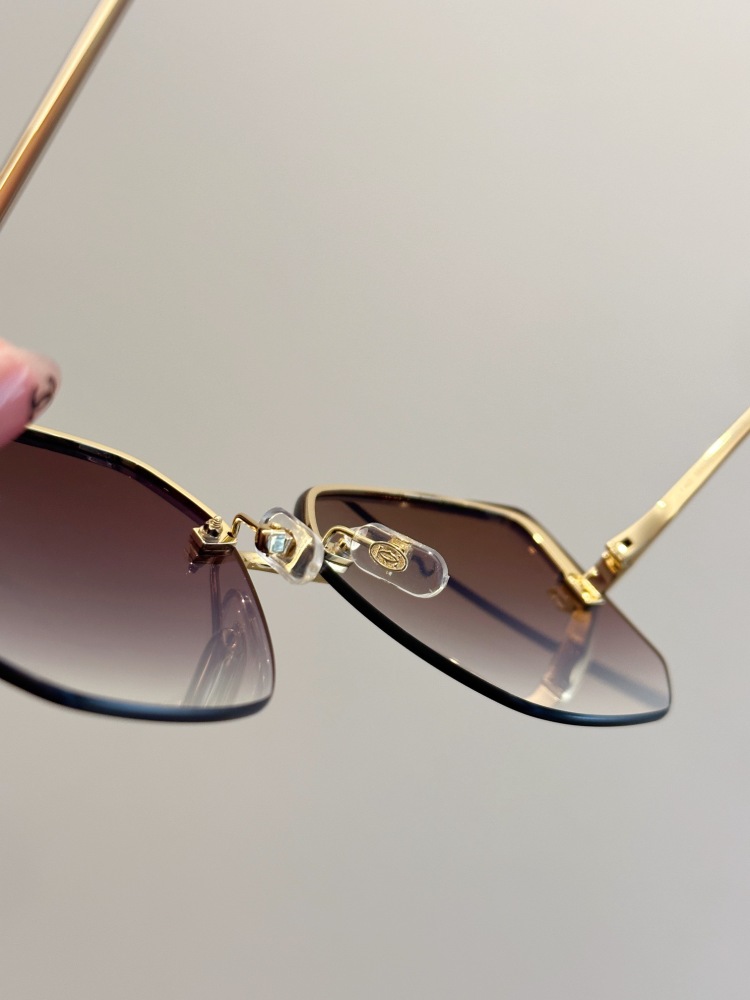 Cartier Glasses